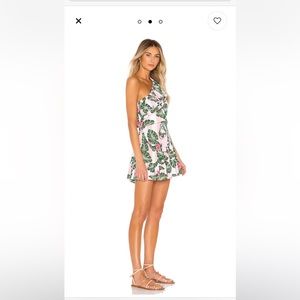 Lovers + Friends Amity Mini Dress in Pink Palm Stripe, Medium, worn once